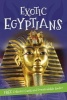 It's All About... Exotic Egyptians (Paperback) - Kingfisher Photo