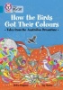 Collins Big Cat - How the Birds Got Their Colours: Tales from the Australian Dreamtime: Band 13/Topaz (Paperback) - Helen Chapman Photo