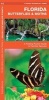 Florida Butterflies & Moths - A Folding Pocket Guide to Familiar Species (Pamphlet) - James Kavanagh Photo