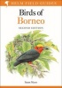 A Field Guide to the Birds of Borneo (Paperback, 2 Rev Ed) - Susan Myers Photo