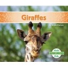 Giraffes (Hardcover) - Grace Hansen Photo