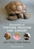 Essentials of Tortoise Medicine and Surgery (Paperback, New) - John Chitty Photo