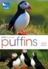 RSPB Spotlight: Puffins (Paperback, New) - Euan Dunn Photo