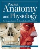 Pocket Anatomy & Physiology (Paperback) - Kenneth Ashwell Photo