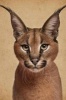 Regal Caracal Wild Cat Portrait Journal - 150 Page Lined Notebook/Diary (Paperback) - Cs Creations Photo