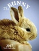 The Bunny 2017 Wall Calendar (UK Edition) (Paperback) - Aberdeen Stationers Co Photo