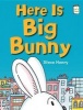 Here Is Big Bunny (Paperback) - Steve Henry Photo