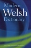 Modern Welsh Dictionary - A Guide to the Living Language (English, Welsh, Paperback, Revised) - Gareth King Photo