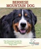 Bernese Mountain Dog - A Practical Guide for the Bernese Mountain Dog Lover (Hardcover) - Linda Rehkopf Photo