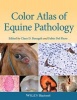 Color Atlas of Equine Pathology (Hardcover, New) - Claus D Buergelt Photo