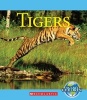 Tigers (Paperback) - Vicky Franchino Photo