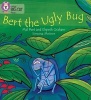 Bert the Ugly Bug - Band 04/Blue (Paperback) - Elspeth Graham Photo