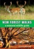 New Forest Walks - A Seasonal Wildlife Guide (Paperback) - Andrew Walmsley Photo