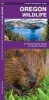 Oregon Wildlife - A Folding Pocket Guide to Familiar Species (Pamphlet) - James Kavanagh Photo