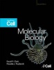 Molecular Biology - Understanding the Genetic Revolution (Hardcover, 2nd Revised edition) - David P Clark Photo