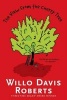 The View from the Cherry Tree (Paperback) - Willo Davis Roberts Photo