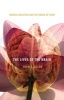 The Lives of the Brain - Human Evolution and the Organ of Mind (Paperback) - John S Allen Photo