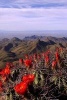 The South Rim Vista at Big Bend U S National Park in Texas - Blank 150 Page Lined Journal for Your Thoughts, Ideas, and Inspiration (Paperback) - Unique Journal Photo