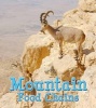 Mountain Food Chains (Paperback) - Angela Royston Photo