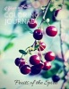 A Year of Faith - Coloring Journal: Fruits of the Spirit (Paperback) - Life in Balance Staff Photo