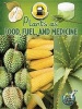 Plants as Food, Fuel, and Medicine (Paperback) - Julie K Lundgren Photo