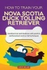 How to Train Your Nova Scotia Duck Tolling Retriever (Dog Training Collection) - Combine Love and Kindness with Positive Reinforcement and No-Fail Techniques (Paperback) - Cathy Millan Photo