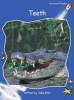 Teeth, Level 3 - Early (Paperback, International edition) - Julie Ellis Photo