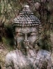 Jumbo Oversized Statue of Buddha Morphing Into a Tree - Blank 150 Page Lined Journal for Your Thoughts, Ideas, and Inspiration (Paperback) - Unique Journal Photo