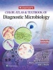 Koneman's Color Atlas and Textbook of Diagnostic Microbiology (Hardcover, 7th International edition) - Gary W Procop Photo