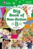 Big Book of Non-fiction B - Band 03-05/Yellow-Green (Paperback) - Cliff Moon Photo