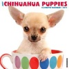 Just Chihuahua Puppies (Calendar) - Willow Creek Press Photo