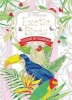 Exotic Birds Postcard Book - Colour by Numbers (Postcard book or pack, New edition) - Daisy Seal Photo