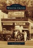 Webster Groves (Paperback) - Tom Cooper Photo