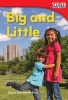 Big and Little (Paperback) - Dona Herweck Rice Photo