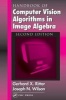 Handbook of Computer Vision Algorithms in Image Algebra (Hardcover, 2nd Revised edition) - Gerhard X Ritter Photo