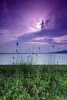 Purple Sunrise by Tropical Sea in Singapore Journal - 150 Page Lined Notebook/Diary (Paperback) - Cool Image Photo