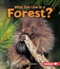 What Can Live in a Forest? (Paperback) - Sheila Anderson Photo