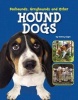 Foxhounds, Greyhounds and Other Hound Dogs (Hardcover) - Tammy Gagne Photo