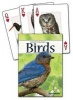 Birds of the Northeast Playing Cards (Cards) - Stan Tekiela Photo