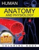 Anatomy & Physiology Coloring Book (Paperback) - Dr Frank K Michael Photo