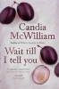 Wait Till I Tell You - Reissued (Paperback) - Candia McWilliam Photo