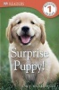 Surprise Puppy! (Paperback) - Judith Hodge Photo