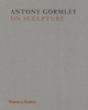  on Sculpture (Hardcover) - Antony Gormley Photo