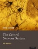 The Central Nervous System (Hardcover, 5th Revised edition) - Per Brodal Photo