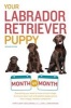 Your Labrador Retriever Puppy Month by Month (Paperback, 2nd) - Terry Albert Photo