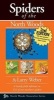 Spiders of the North Woods (Paperback, 2nd) - Larry Weber Photo