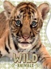 Touch and Sparkle Wild Animals (Board book) -  Photo