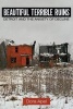 Beautiful Terrible Ruins - Detroit and the Anxiety of Decline (Paperback) - Dora Apel Photo