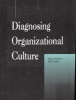 Diagnosing Organizational Culture - Instrument (Staple bound) - Roger Harrison Photo