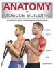 Anatomy of Muscle Building - A Trainer's Guide to Increasing Muscle Mass (Paperback, annotated edition) - Craig Ramsay Photo